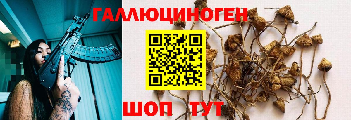 Киров  Галлюциногенные грибы мицелий  Вход с VPN 